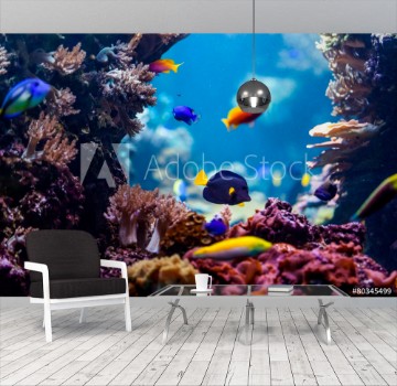 Bild på Underwater scene
